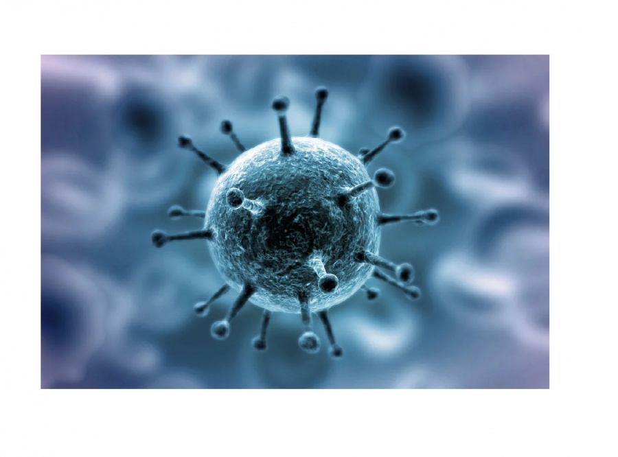 АЛГОРИТМ ДЕЙСТВИЙ СОТРУДНИКОВ КОЛЛЕДЖА ПРИ ПОДОЗРЕНИИ НА КОРОНАВИРУСНУЮ ИНФЕКЦИЮ