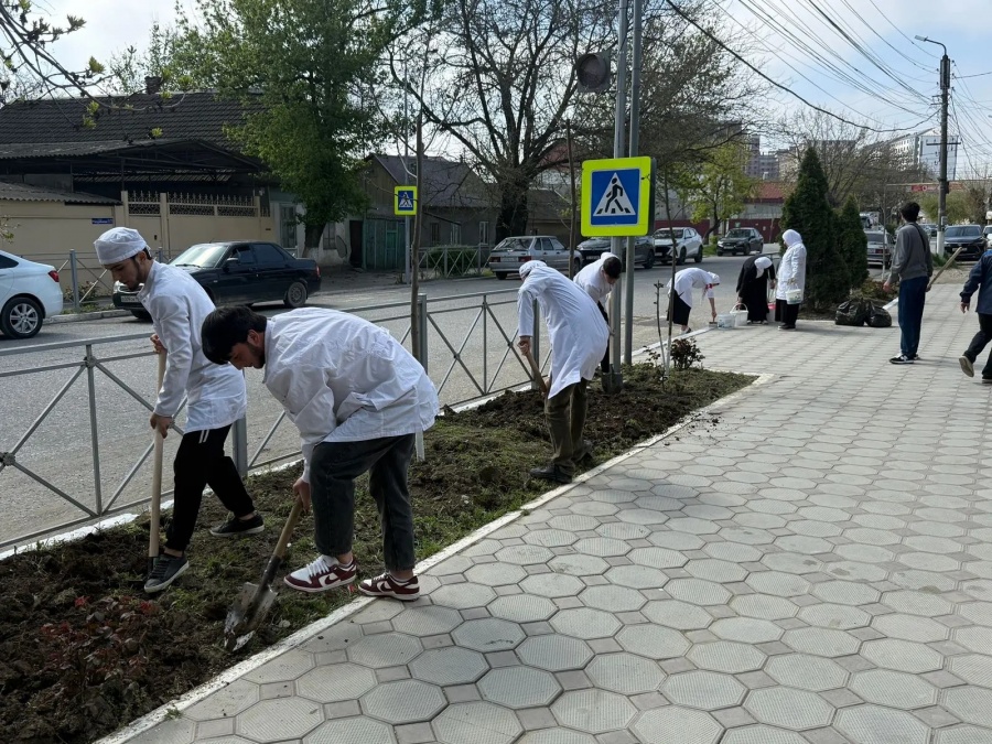 НАВОДИМ ПОРЯДОК ВМЕСТЕ