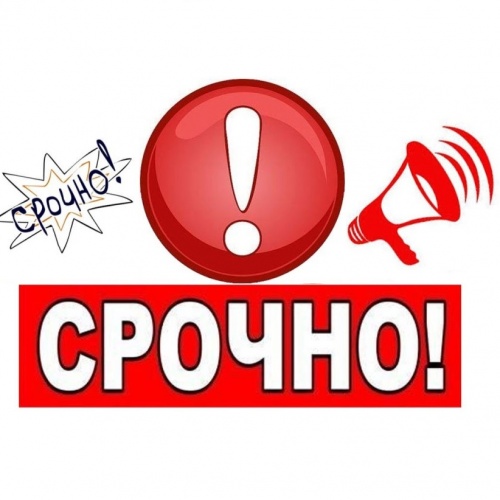 Обращение директора Медицинского колледжа.