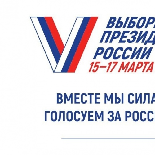 Участие в выборах